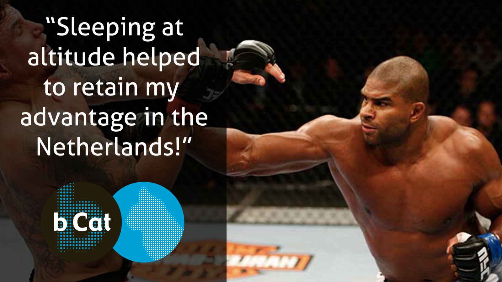 B-cat - Alistair Overeem